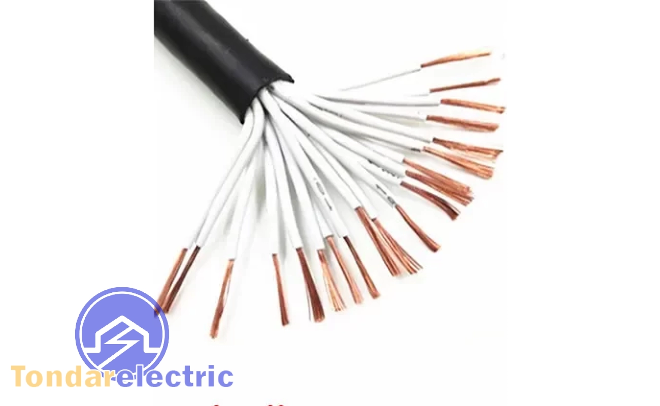 فرمان e1755072974840