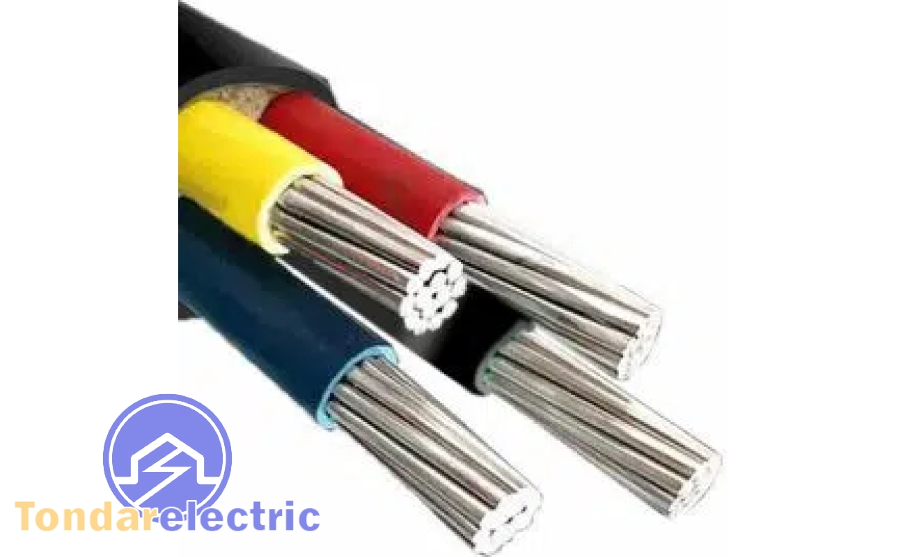 IMG 7799 300x300.jpeg